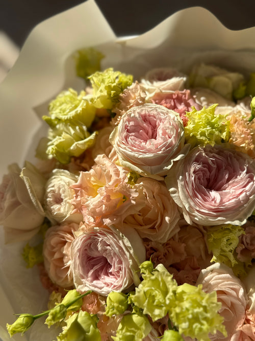 EVENING BLUSH